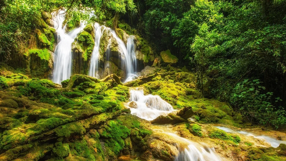 Explore Khe Dau Waterfall